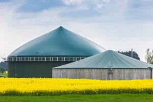 Biogas plant